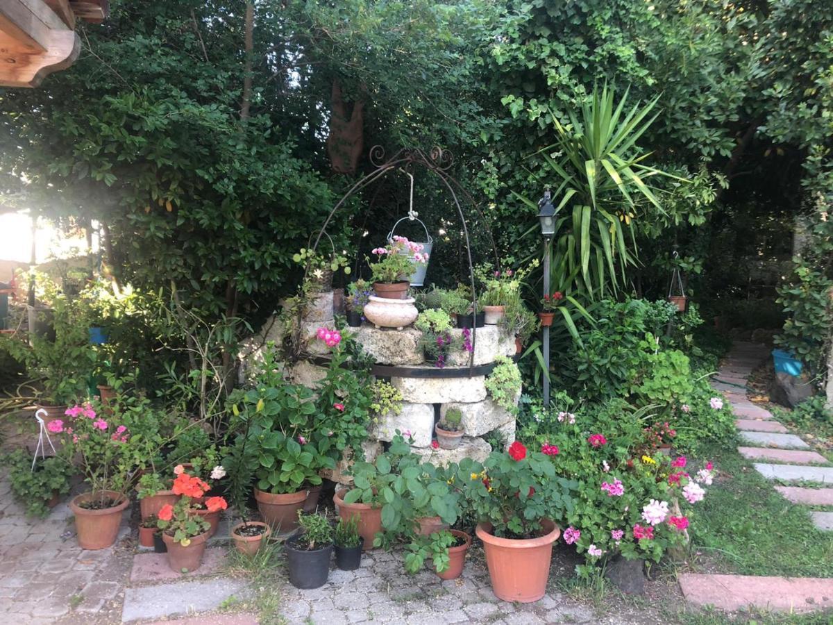 B&B Domo De Pedra Tottubella Bagian luar foto